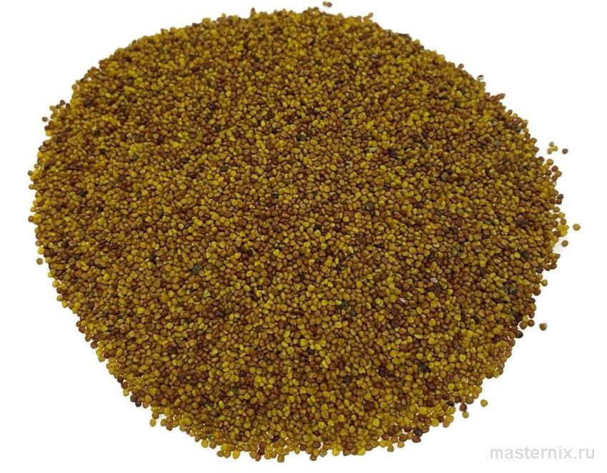 семена клевера