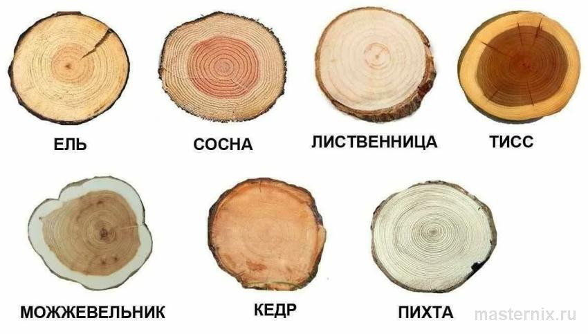 Срез трех образцов древесины с четко видимой текстурой колец и волокон