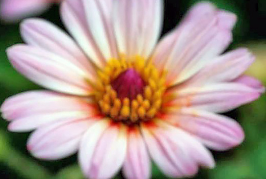 Как получить четкую картинку на проекторе