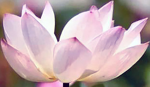 Алгоритм подключения саундбара к ТВ через HDMI-кабель