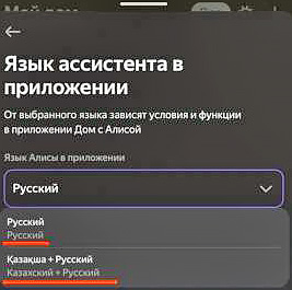 Как изменить язык виртуального ассистента в Станции Миди?