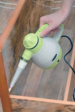 Можно ли пароочистителем уничтожить клопов?