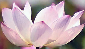 Алгоритм подключения саундбара к телевизору с помощью оптического кабеля