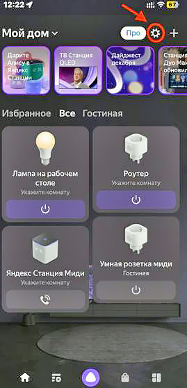 Как настроить интерфейс приложения «Дом с Алисой»?