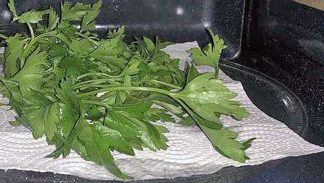 Как сушить травы/зелень в микроволновке