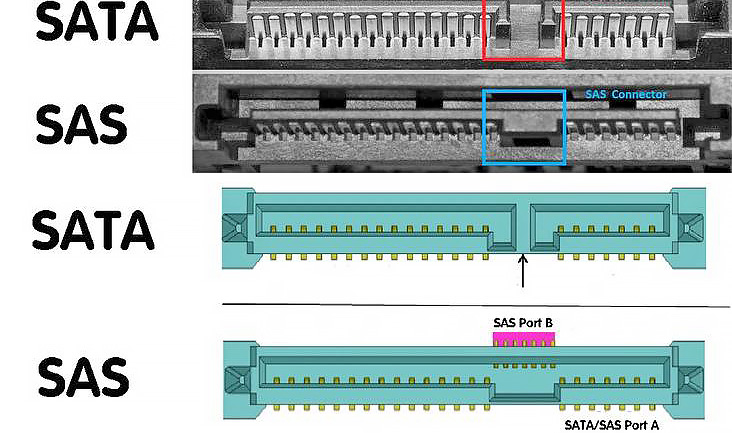 Интерфейсы SATA и SAS у жестких дисков — в чем разница?
