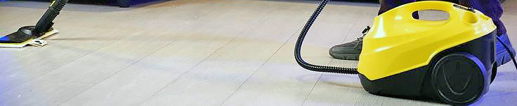 Можно ли использовать моющие средства вместе с пароочистителем?