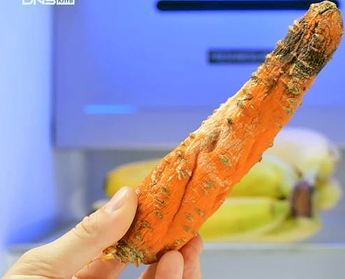 Для чего нужна фитоподсветка в холодильнике?