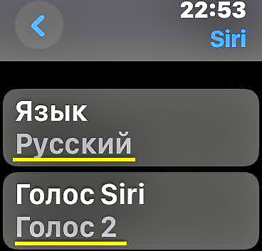 Как настроить Siri на Apple Watch?