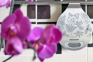 Обзор кухонных весов Redmond RS-M734