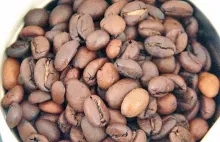 Электрическая кофемолка Bosch TSM6A