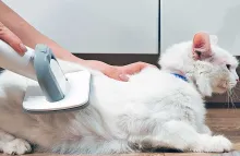 Обзор груминг-станции Dreame Trouver G1 Pro