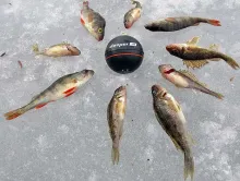 Ловись рыбка большая и маленькая – обзор умного эхолота DEEPER Smart Fishfinder 3.0.