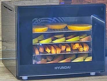 Обзор компактной сушилки Hyundai HYFD-1204 для фруктов и овощей