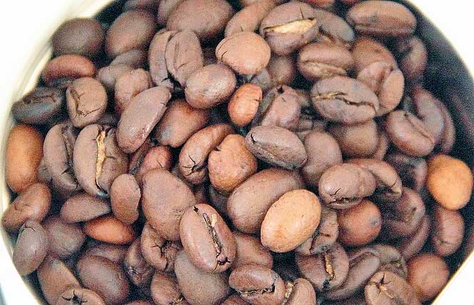 Электрическая кофемолка Bosch TSM6A