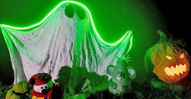 Обзор гибкого неона NEON-NIGHT 131-014-1 Хэллоуин версия