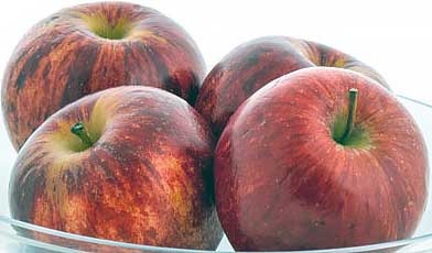 Обзор кухонных весов Maxwell MW-1451