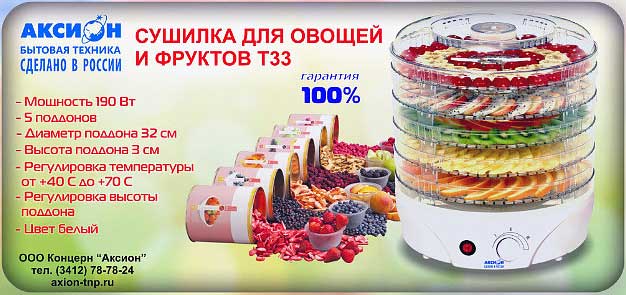 Обзор АКСИОН T-33