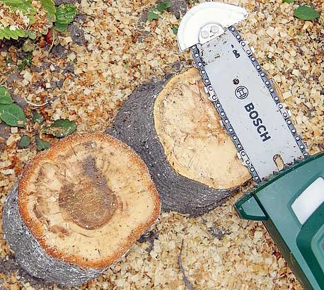 Обзор аккумуляторного высотореза Bosch UniversalChainPole 18 (06008B3100)