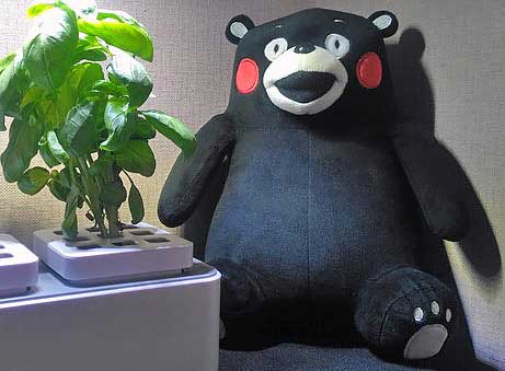 Умный сад iGarden LED